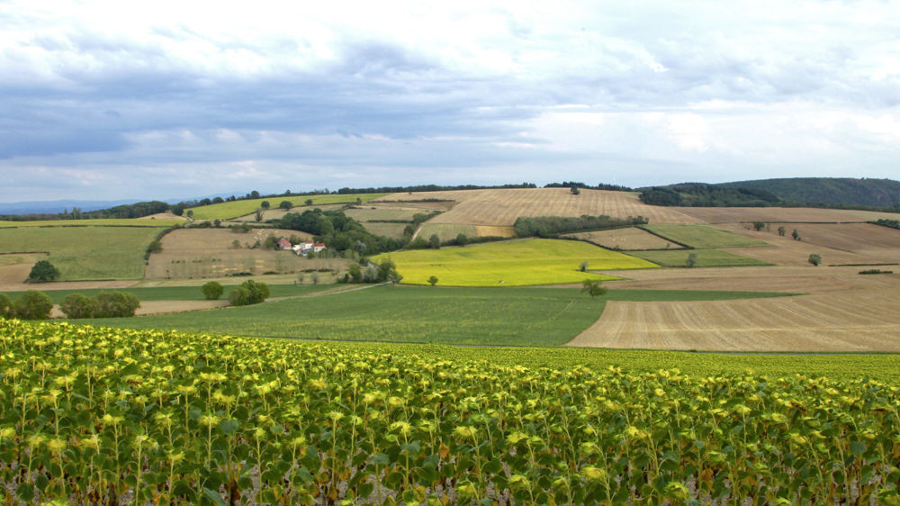 Le niveau 1 de la certification environnementale devrait être supprimé au terme de la consultation publique ouverte du 21 juillet au 27 août.